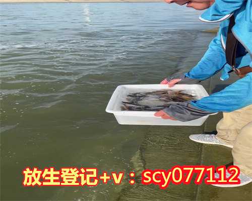 宁波放生红鲤鱼在哪里，宁波天童禅寺举行清明祭祖扫塔仪式