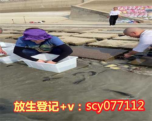 杭州放生乌龟的地方，农历九月十五杭州灵隐寺圆满举行放生法会