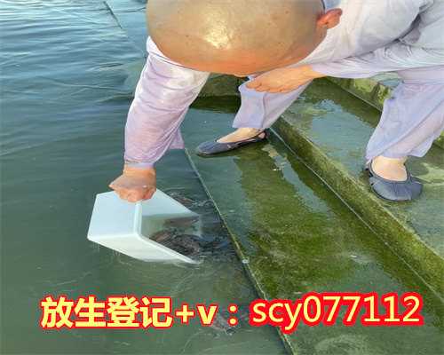 杭州允许放生的水域是哪里来的，农历九月十五杭州灵隐寺圆满举行放生法会