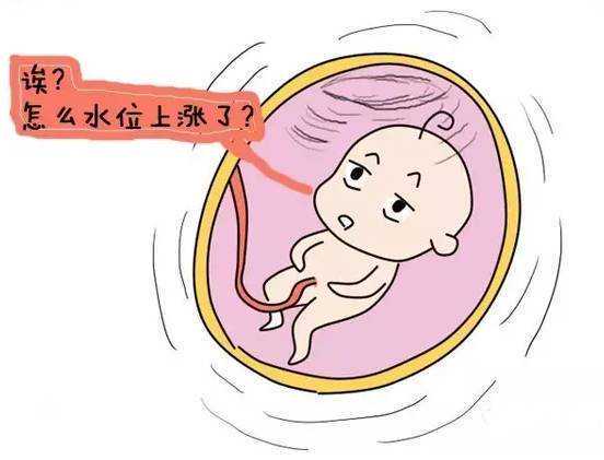 <strong>供卵代孕哪家靠谱_试管包男孩是真的吗,胚胎不着床的主要原因是什么（胚胎不</strong>